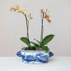 Blue & White Landscape Planter