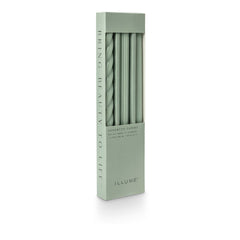 Assorted Tapers 3pk Hinoki Sage