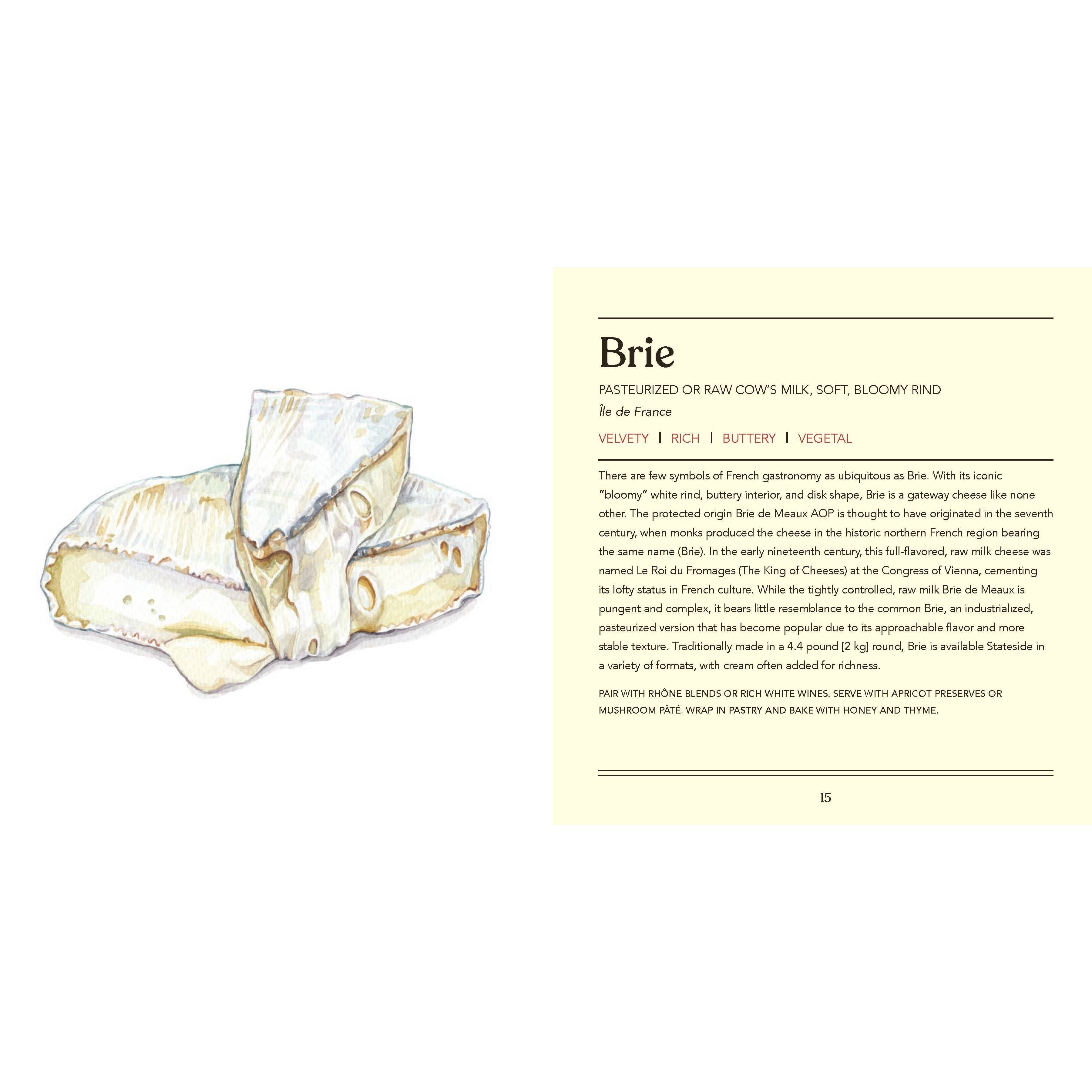 Cheese, Illustrated