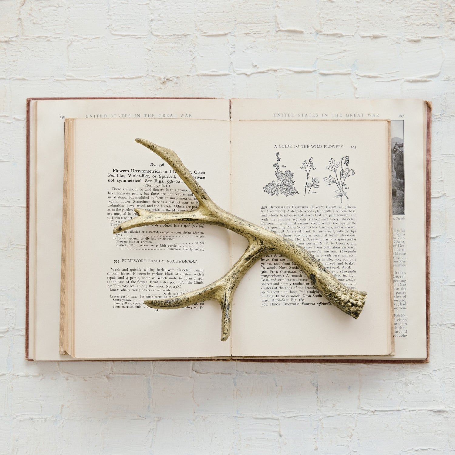 Cast Iron Antler, Distressed Gold Finish