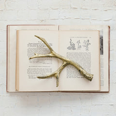 Cast Iron Antler, Distressed Gold Finish