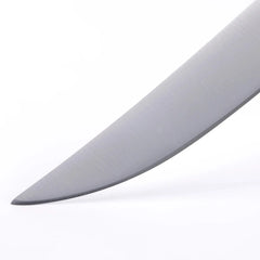 Avanta 4 Piece Pakkawood Steak Knife Set