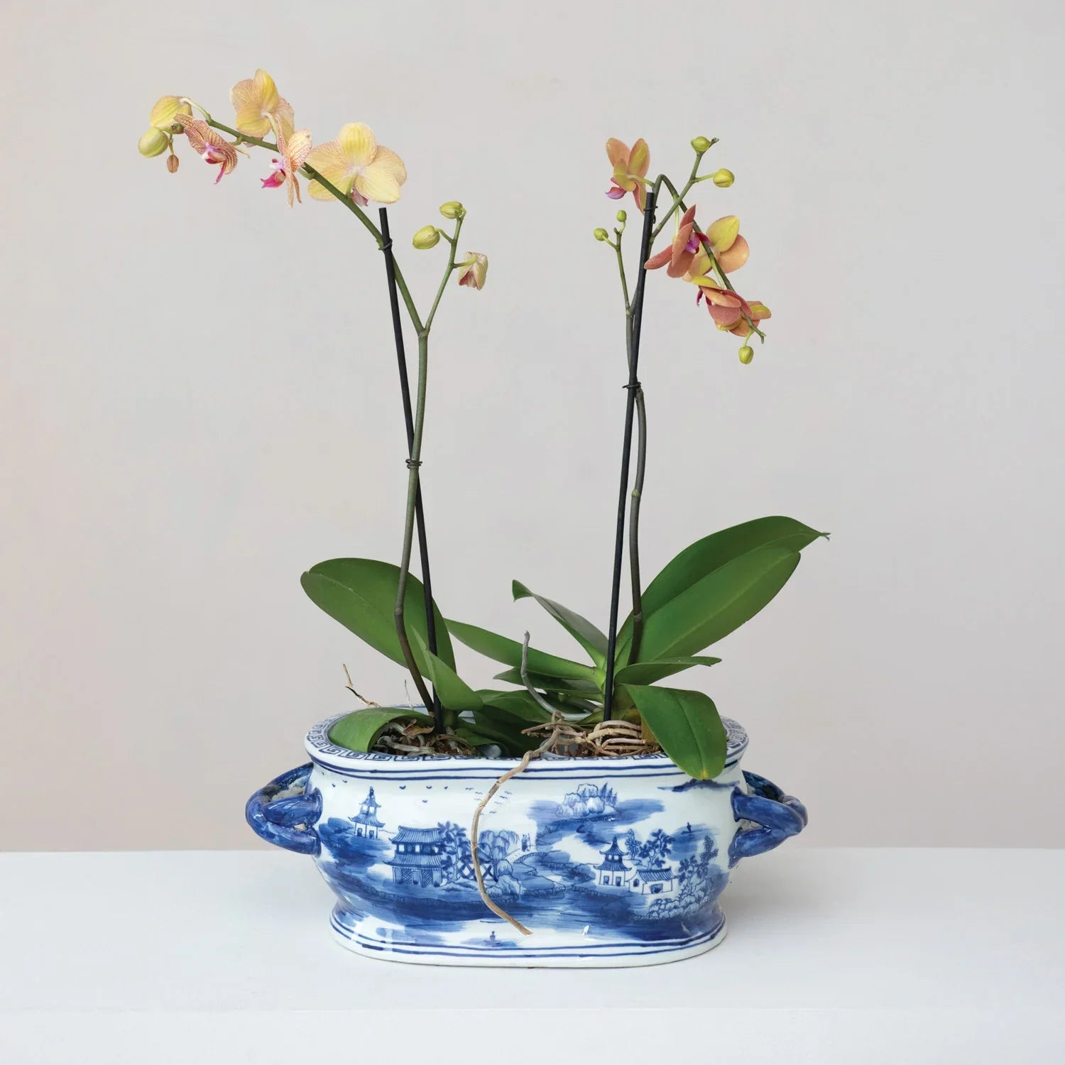 Blue & White Landscape Planter