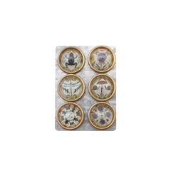 Animal & Botanical Magnet Set